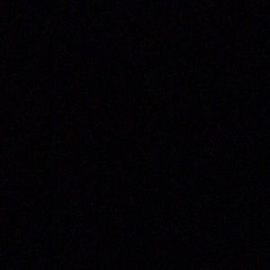 Meet your Posher, Darryl